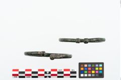 Foto von Bronzearmreif (NHMW-PRAE-025123)